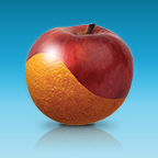 Paylocity favicon